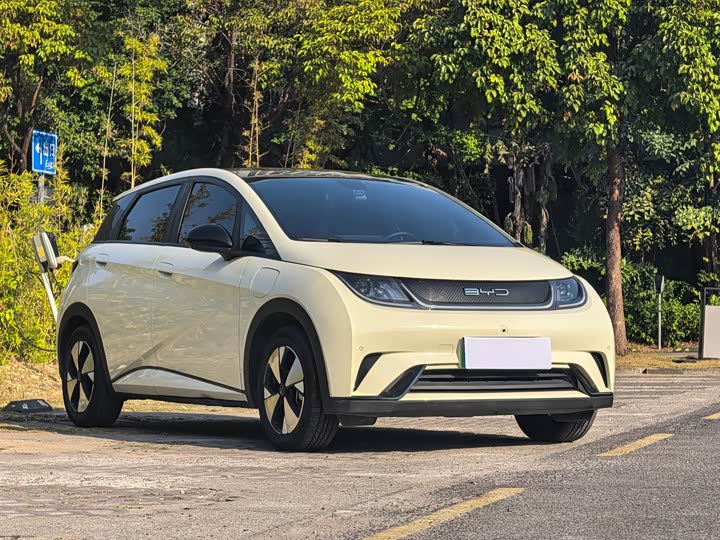 Фото 3 - BYD Dolphin