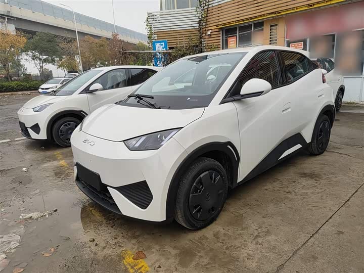 Фото 2 - BYD Seagull