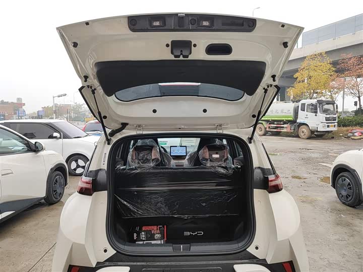 Фото 9 - BYD Seagull