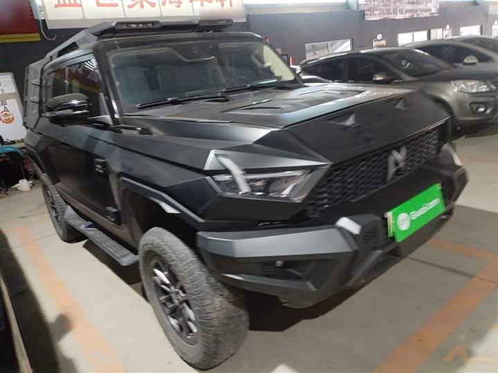 Фото 4 - Dongfeng Mengshi M-Hero 917