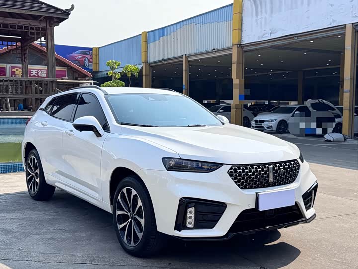 Фото 3 - Wey VV7