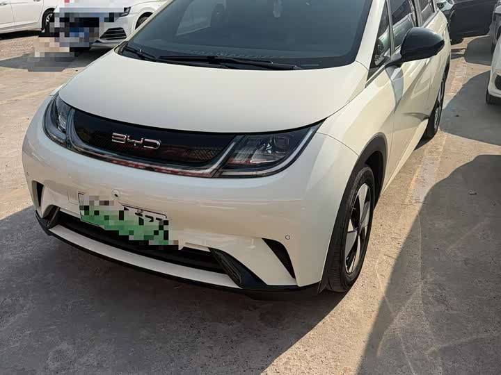 Фото 1 - BYD Dolphin