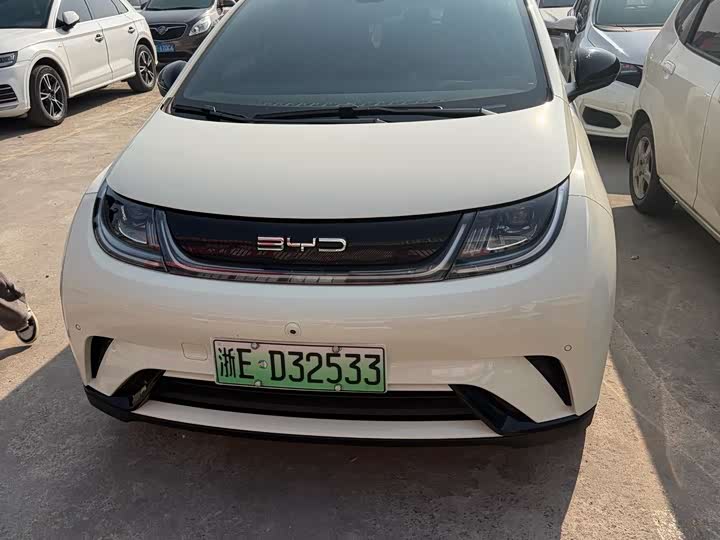 Фото 2 - BYD Dolphin