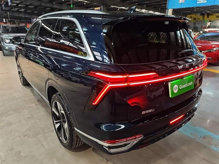 Фото 5 - Wey Lanshan