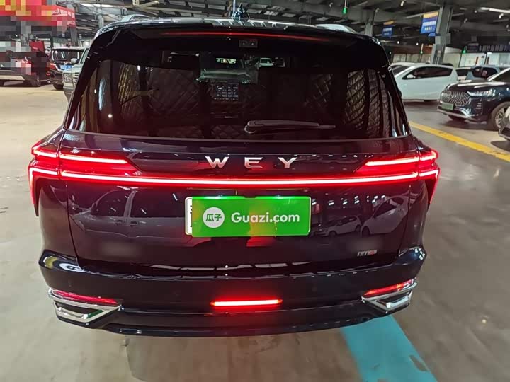 Фото 6 - Wey Lanshan