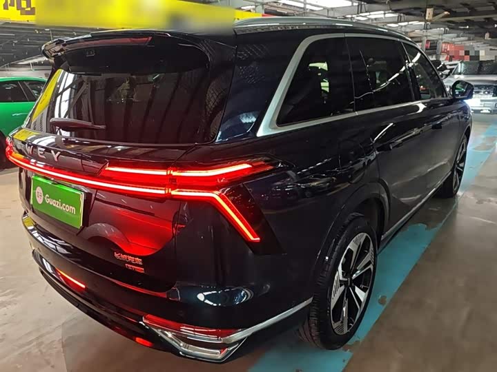 Фото 7 - Wey Lanshan