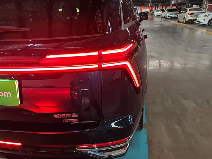 Фото 8 - Wey Lanshan