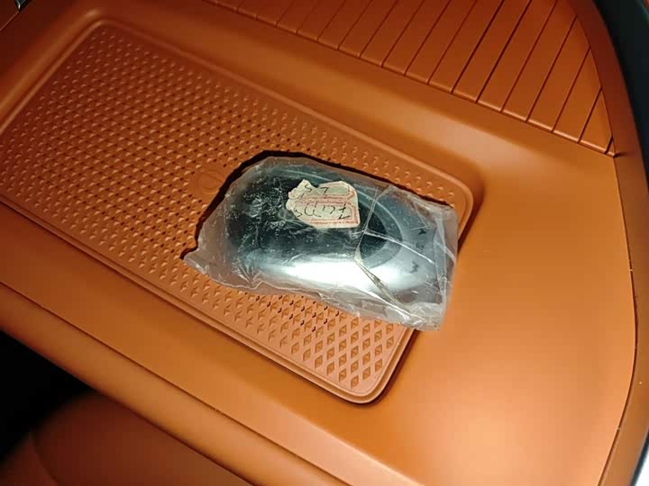 Фото 9 - Wey Lanshan