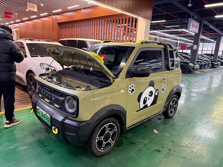 Фото 1 - Geely Galaxy Panda Mini