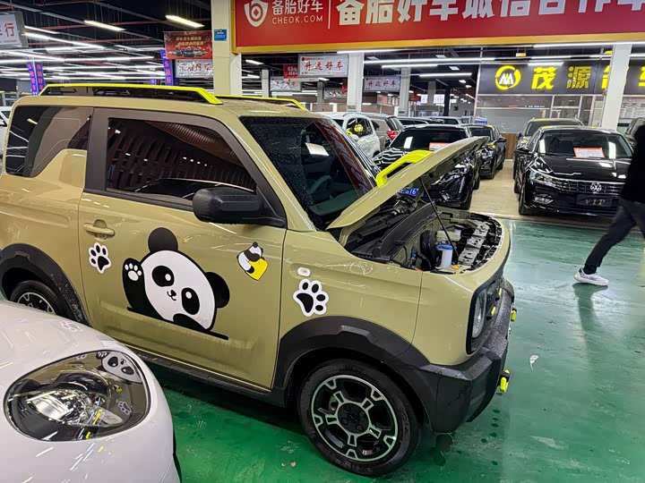 Фото 6 - Geely Galaxy Panda Mini