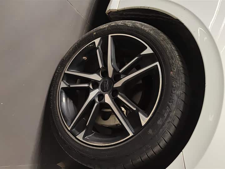 Фото 6 - Geely Binrui