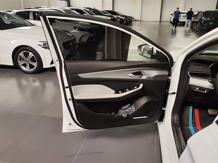 Фото 7 - Geely Binrui