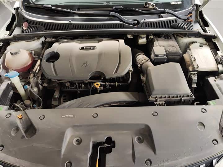 Фото 9 - Geely Binrui