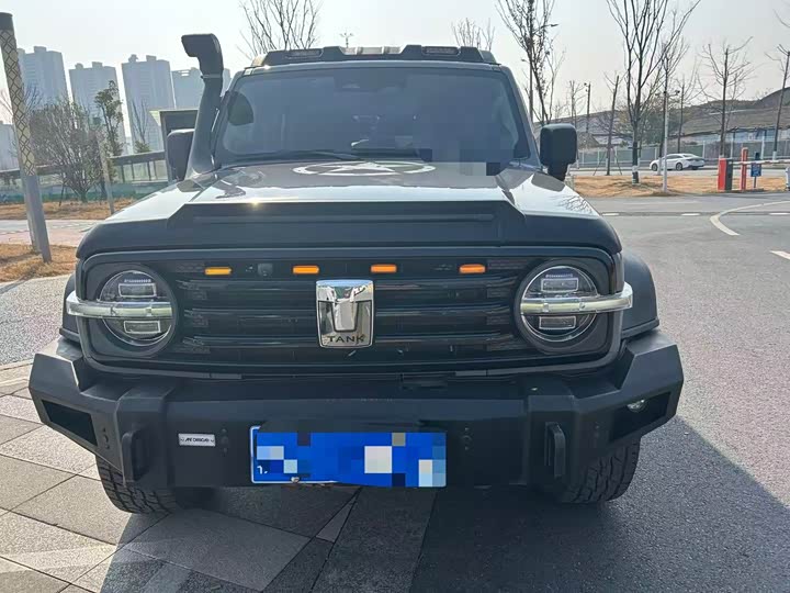 Фото 1 - Tank 300