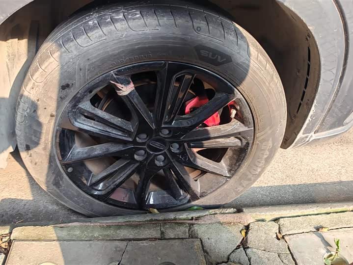 Фото 6 - Geely Tugella