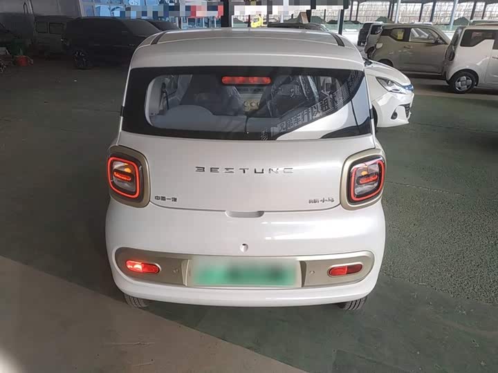 Фото 6 - Bestune Pony