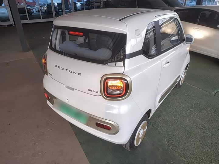 Фото 7 - Bestune Pony