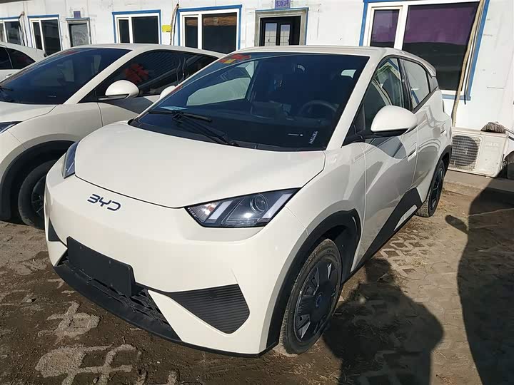 Фото 1 - BYD Seagull