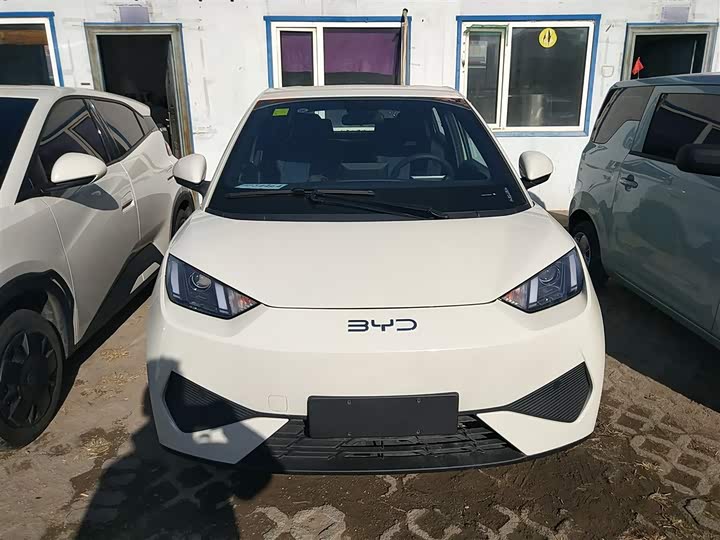 Фото 3 - BYD Seagull