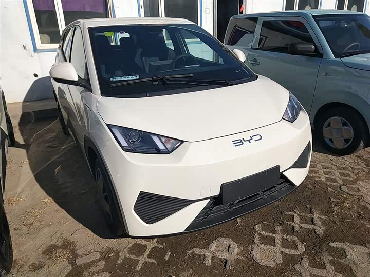 Фото 4 - BYD Seagull