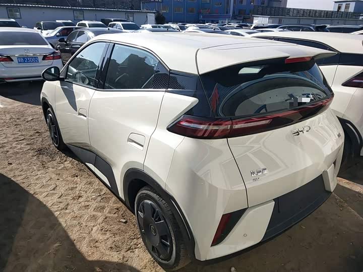 Фото 5 - BYD Seagull