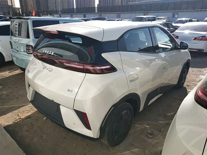 Фото 7 - BYD Seagull