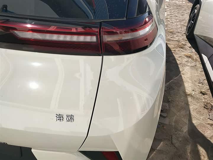 Фото 8 - BYD Seagull