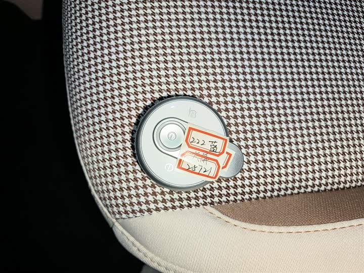 Фото 9 - Bestune Pony