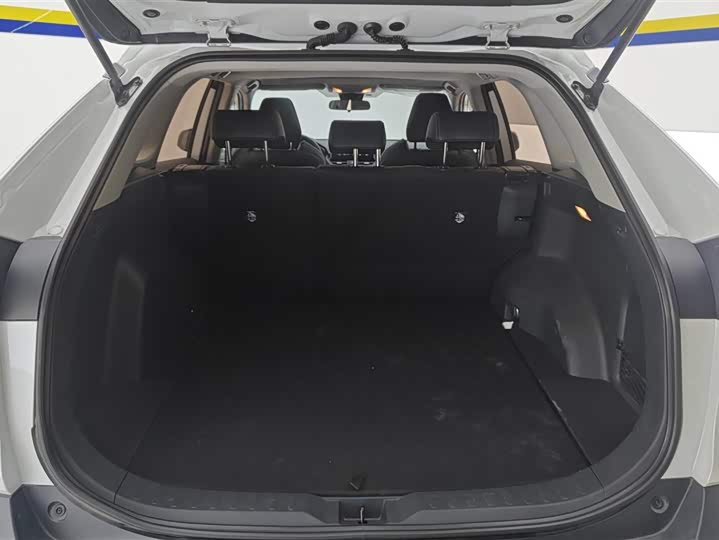 Фото 4 - Toyota Wildlander