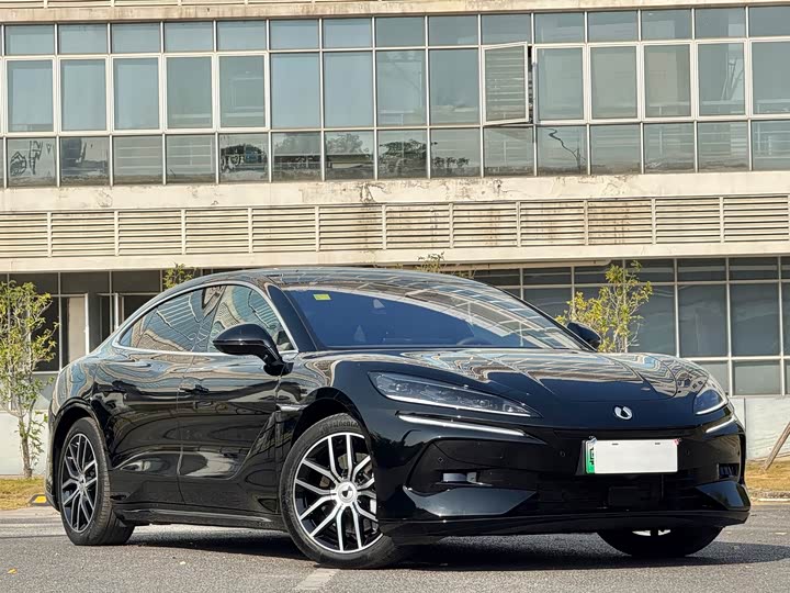 Фото 3 - Denza Z9