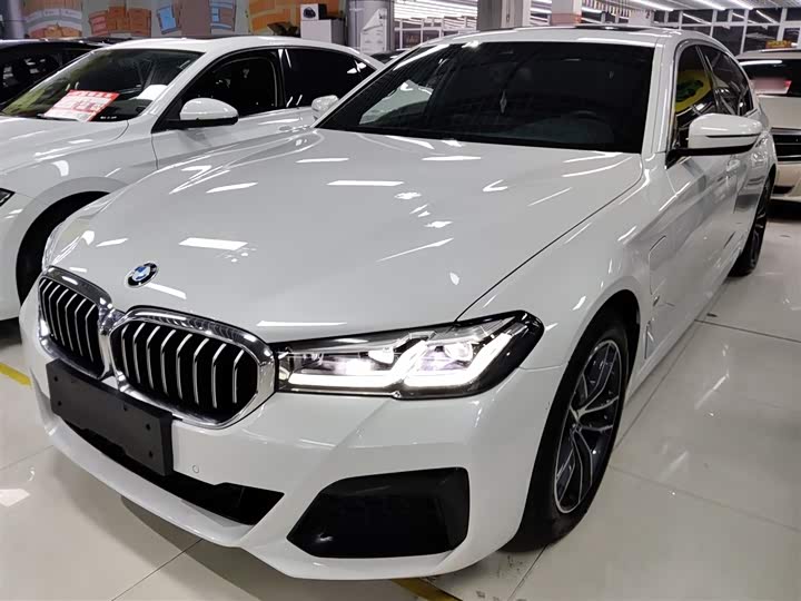 Фото 2 - BMW 5 Series Hybrid