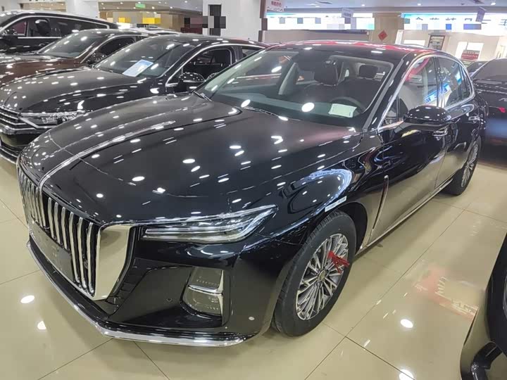 Фото 2 - Hongqi H5