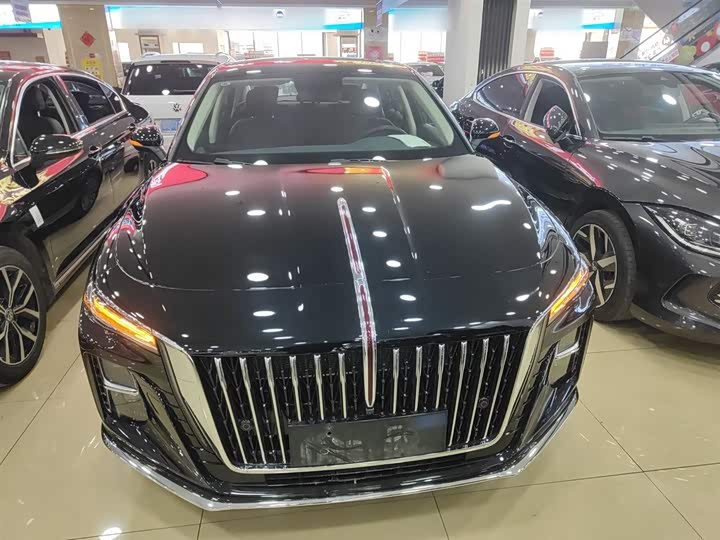 Фото 3 - Hongqi H5