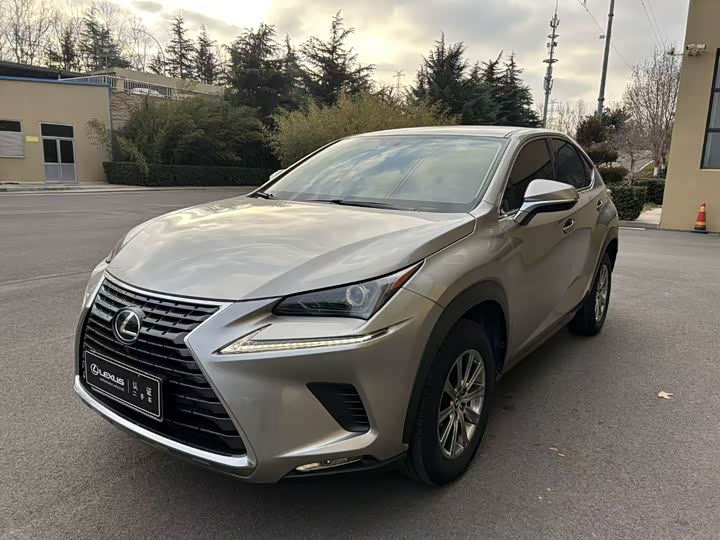 Фото 1 - Lexus NX