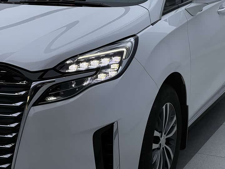 Фото 5 - Buick GL8 ES