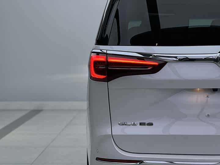 Фото 6 - Buick GL8 ES