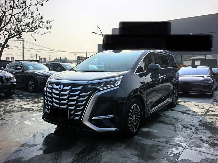 Фото 1 - Denza D9