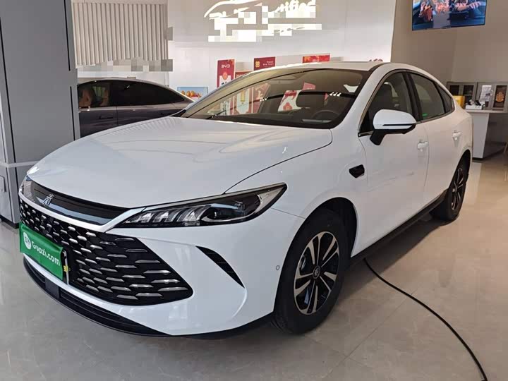 Фото 2 - BYD Qin Plus