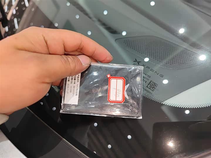 Фото 9 - XPeng G6