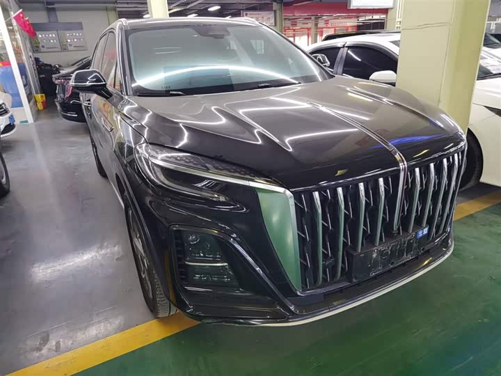 Фото 4 - Hongqi HS3 Hybrid