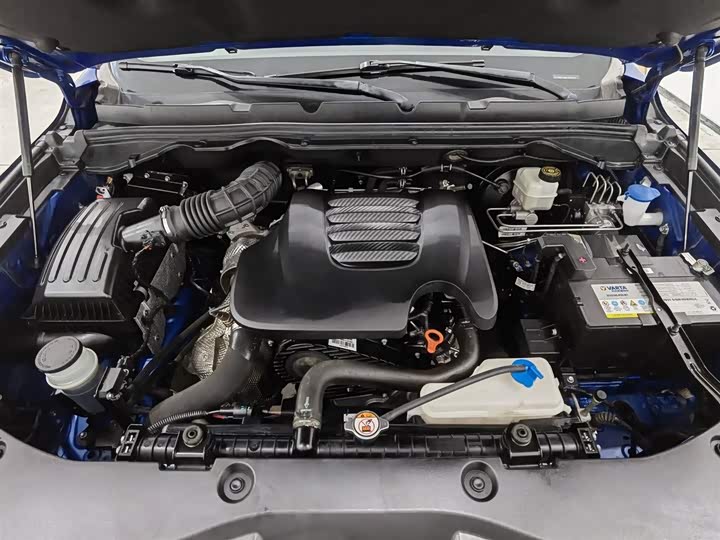 Фото 6 - Great Wall Pao