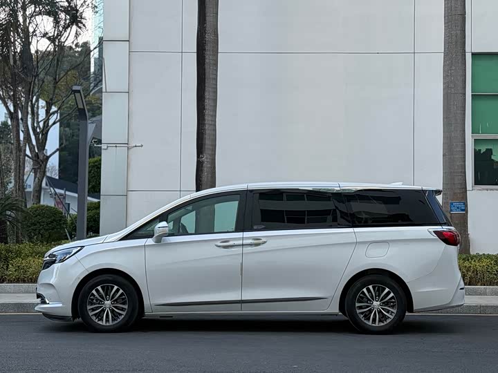 Фото 3 - Buick GL8 ES