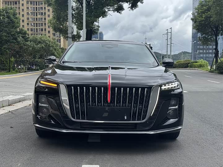Фото 2 - Hongqi H5