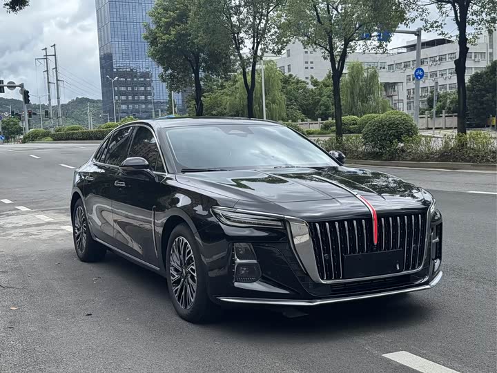 Фото 3 - Hongqi H5