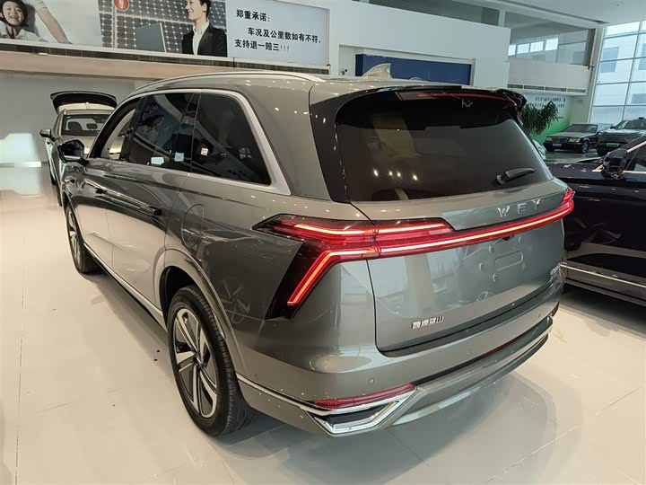 Фото 5 - Wey Lanshan