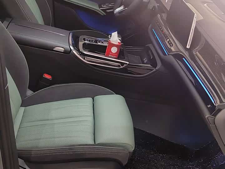 Фото 5 - Hongqi H9