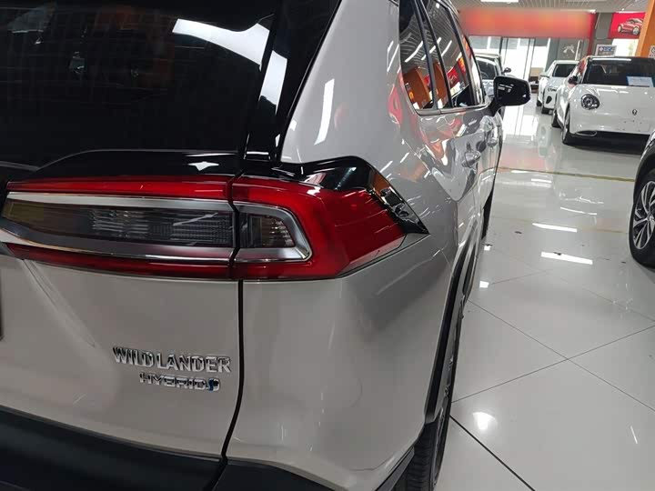 Фото 8 - Toyota Wildlander