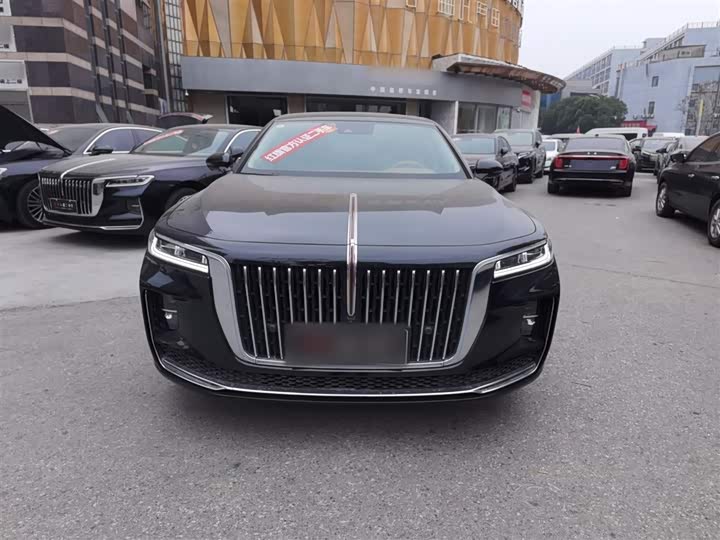 Фото 3 - Hongqi H9