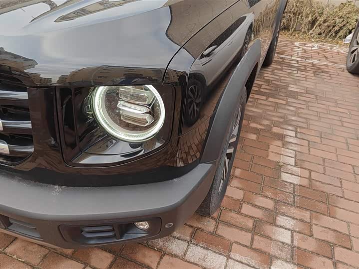 Фото 5 - Haval Dargo