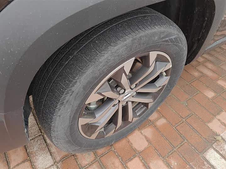 Фото 6 - Haval Dargo